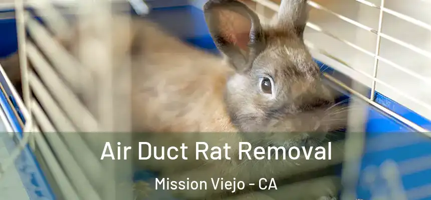  Air Duct Rat Removal Mission Viejo - CA