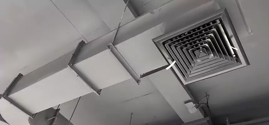 Restorative Allergy Relief Vent Cleaning – Coil, Blower & Housing Detail in Mission Viejo