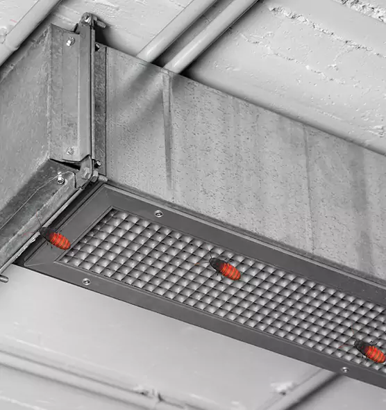 About Air Duct Cockroach Removal in Mission Viejo, CA